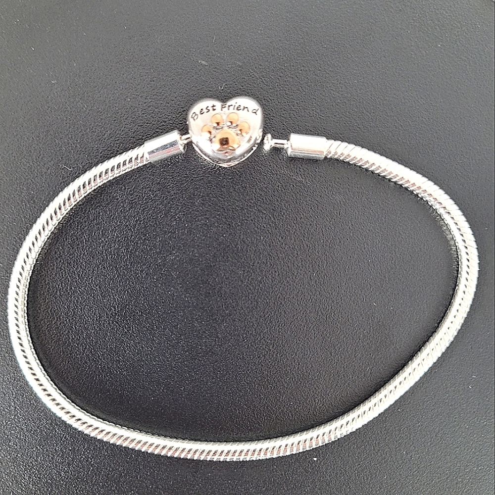 Best Friends Charm Bracelet, Dog or Cat, The Road To My Heart Is Paved Pawprints